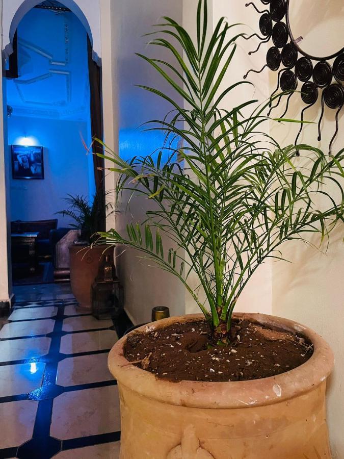 Riad Ms Holidays Terrasse Privatise Marrakech Марракеш Экстерьер фото