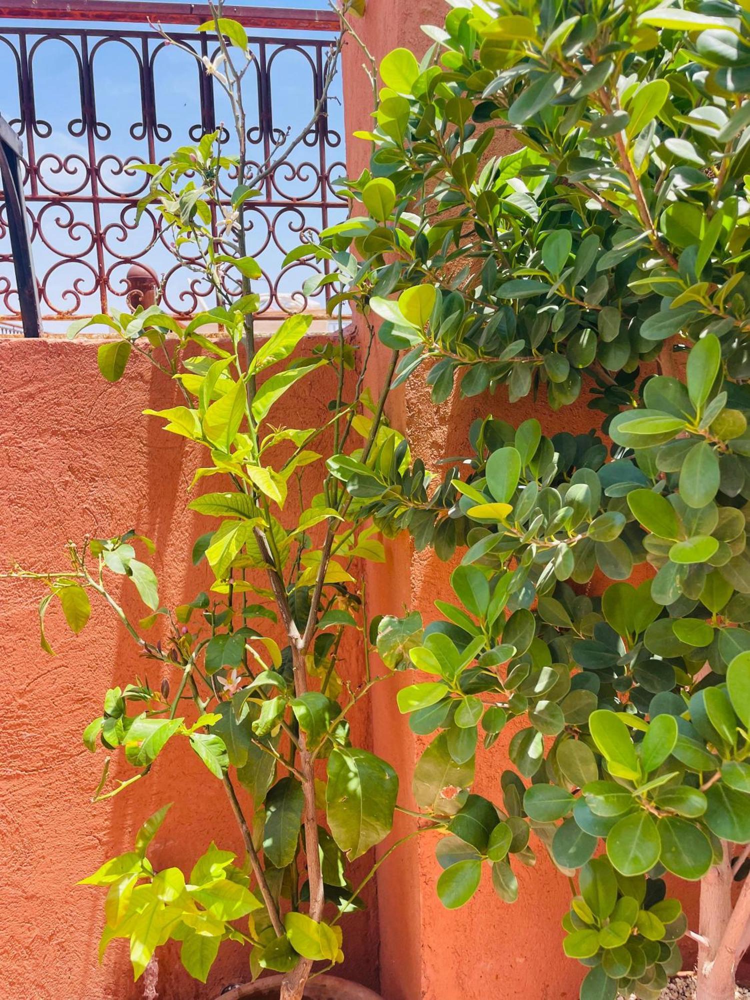 Riad Ms Holidays Terrasse Privatise Marrakech Марракеш Экстерьер фото